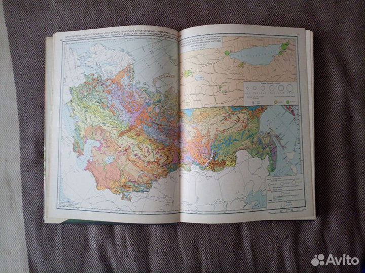 Атлас лекарственных растений СССР 1980г