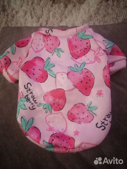 Одежда для маленьких собак