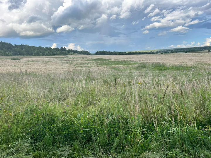 Участок 1,2 га (СНТ, ДНП)