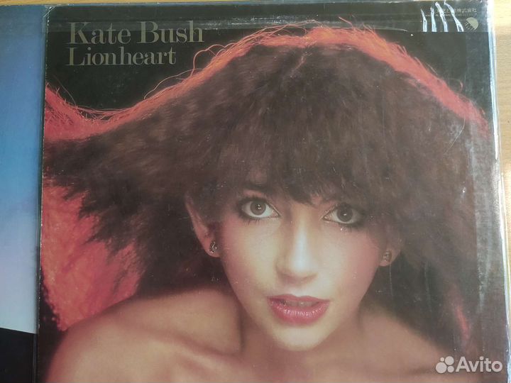 Kate Bush