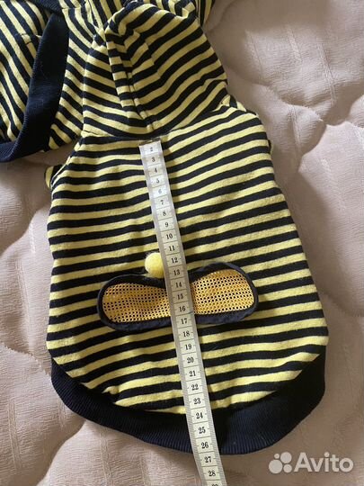 Одежда для собак