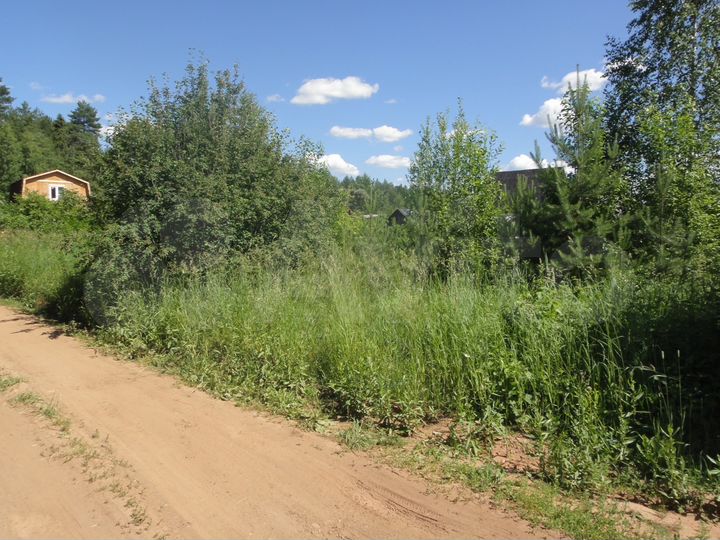 Участок 15 сот. (СНТ, ДНП)