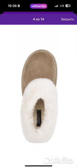 Thomas munz угги