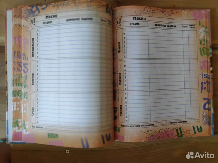 Школьный дневник. Новый