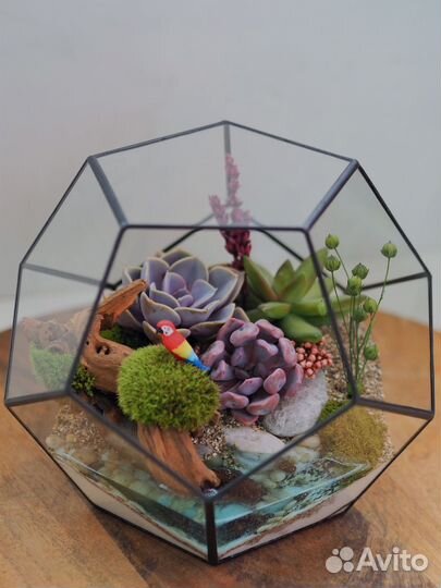 Флорариум из суккулентов (с фигурками)