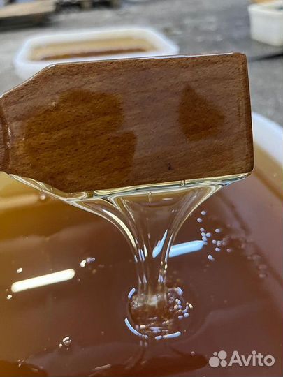 Майский мёд свежий только опт