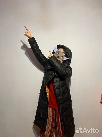 Пуховик miegofce черный длинный