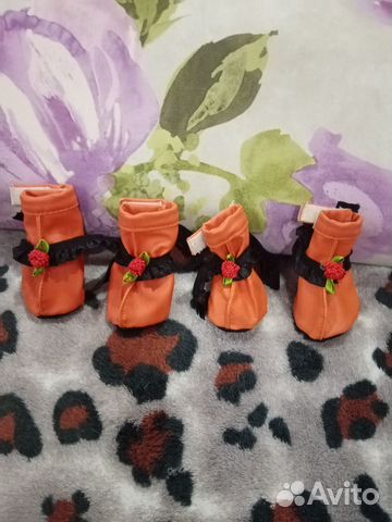 Ботиночки для маленьких собачек