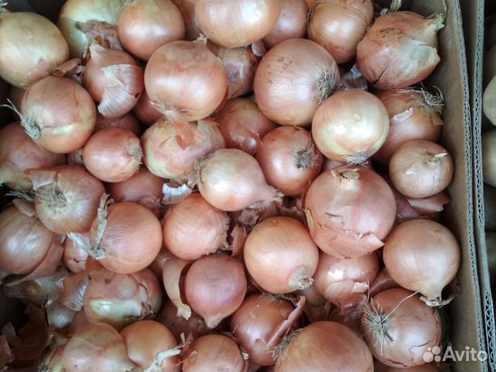 Свежие овощи и фрукты