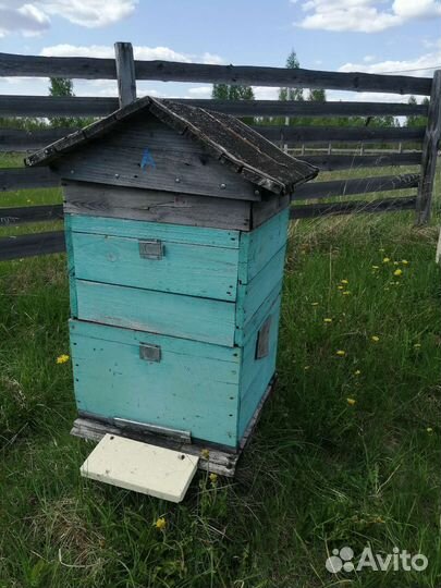 Улей дадан 12 рамок б/у