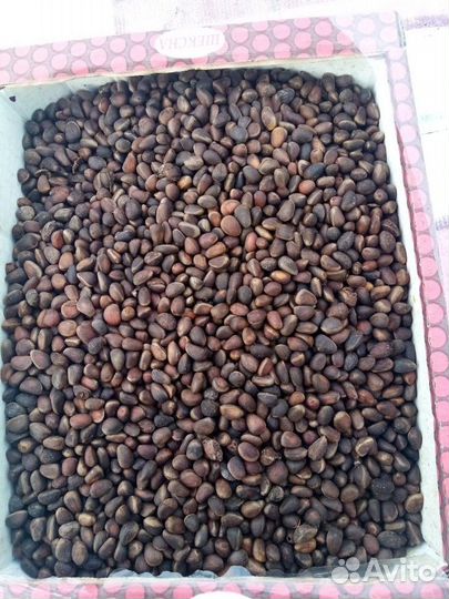 Ягода заморозка и сушеная