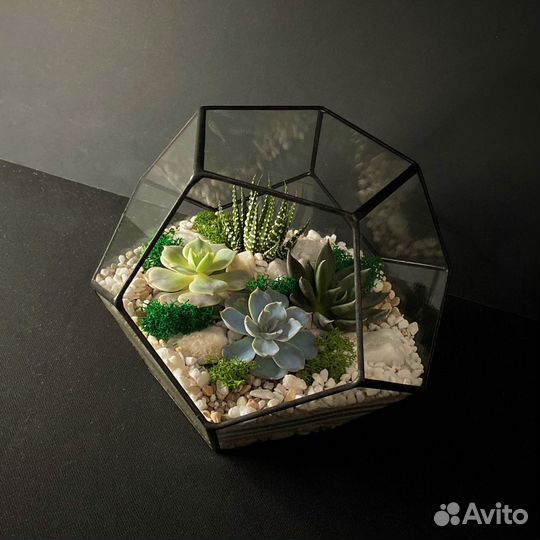 Флорариум Додекаэдр