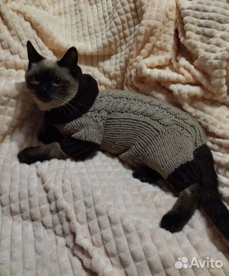 Свитер для собак, комбинезон для собак, шапочка