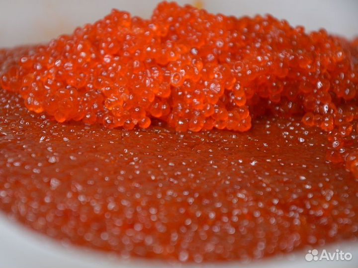Красная икра лососевых