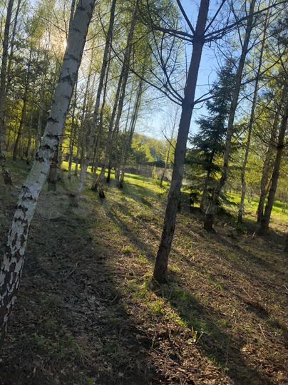 Участок 10 сот. (ИЖС)