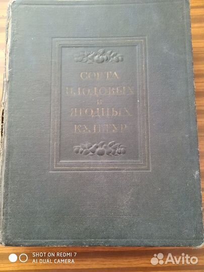 Сорта плодовых и ягодных культур