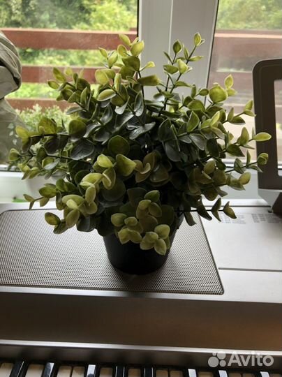 Искусственные цветы IKEA