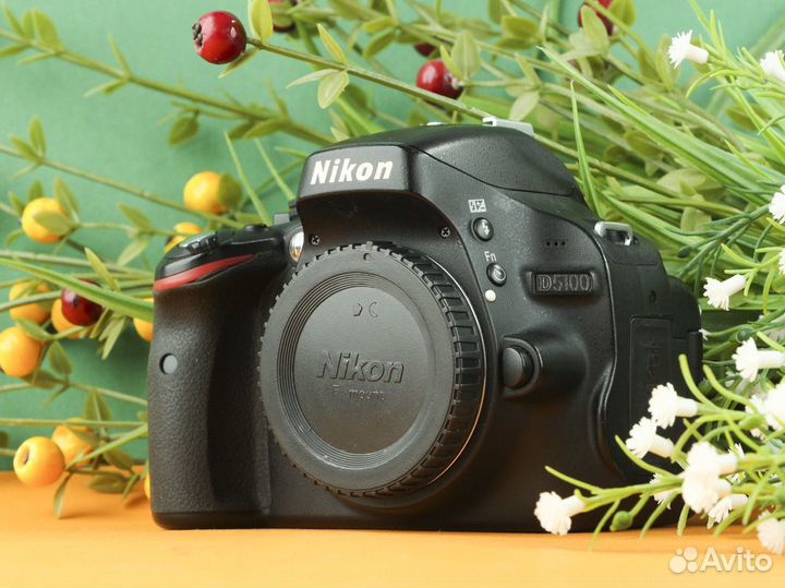 Фотоаппарат Nikon D5100 body