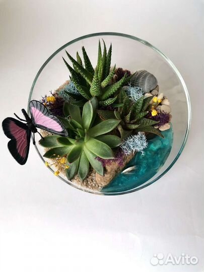 Флорариум в скошенной форме D - 16см
