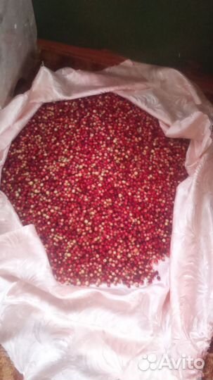 Клюква свежая