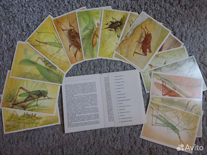 Открытки СССР