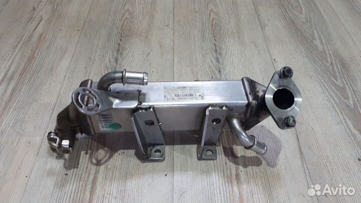 Радиатор системы EGR Nissan X-trail T31