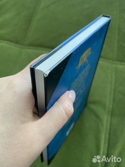 Книга Сказки Барда Бидля