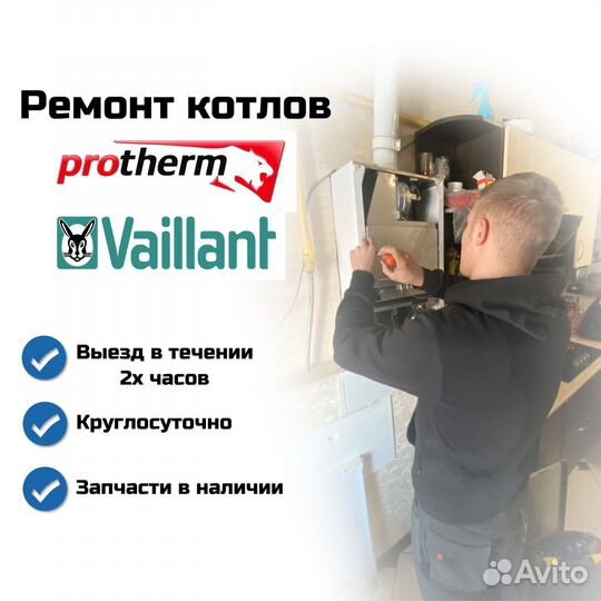 Ремонт котлов Protherm\Baxi - Бесплатный выезд