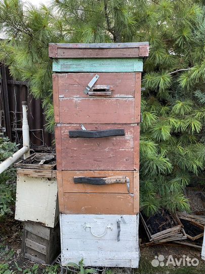 Продам ульи для пчел