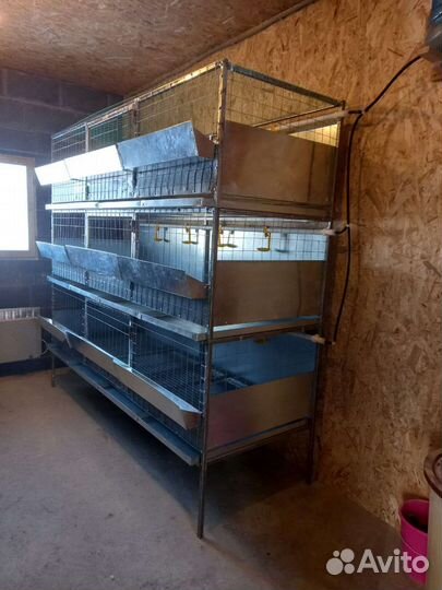Клетка для кур, уток