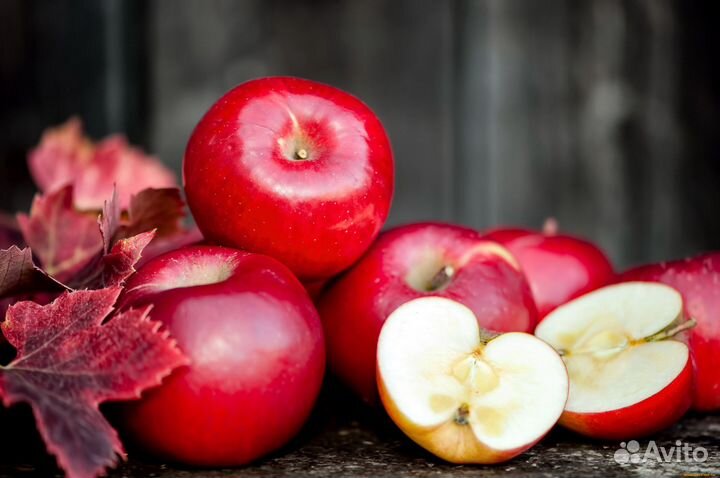 Разнорабочие на сбор яблок(вахта) 15смен