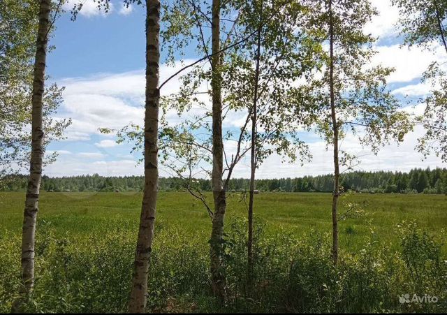 Участок 18,6 сот. (ИЖС)