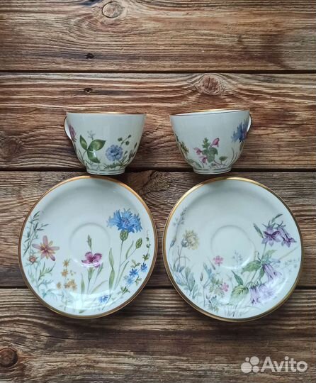 Кофейная пара Бавария Германия Ботаника