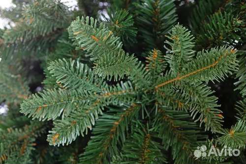 Искусственная ель Crystal Trees Габи 150 см