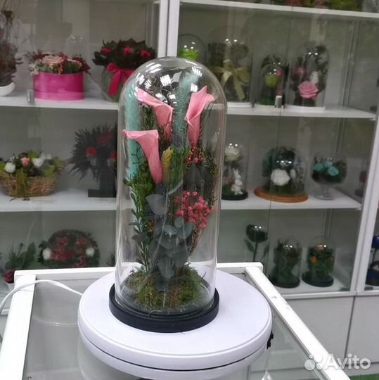 Флорариум Роза в колбе Цветы растения в кашпо, от