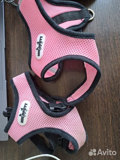 Одежда для собак мелких пород