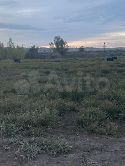 Участок 100 сот. (СНТ, ДНП)