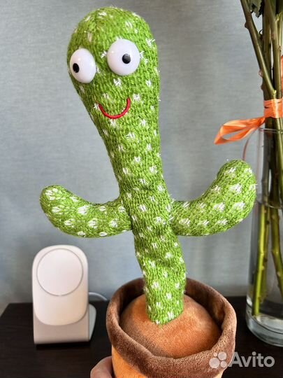 Кактус музыкальный