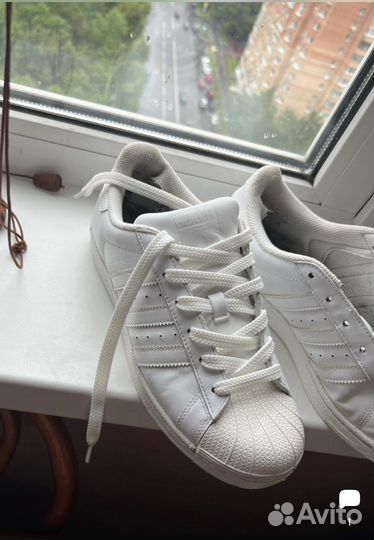 Кеды adidas superstar original