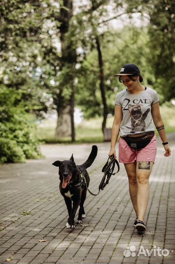 Бобби ищет дом