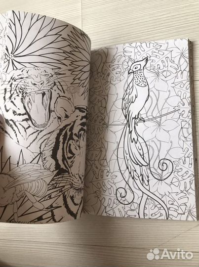 Раскраска антистресс