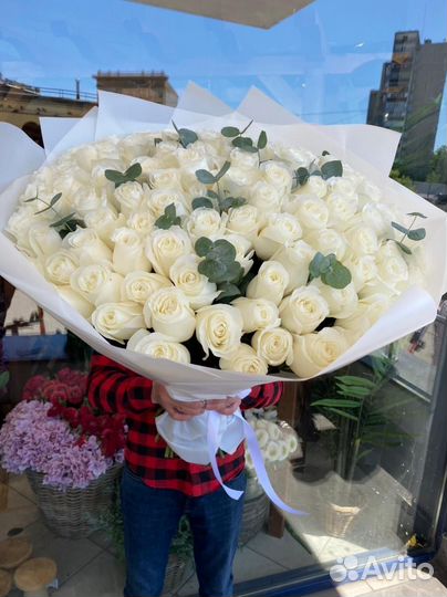 Букет из 101 Эквадорской розы