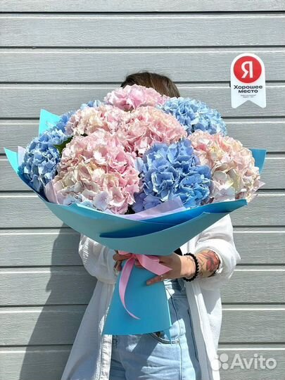 Облако из гортезий, букет гигант цветы