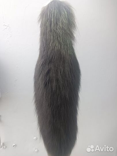 Лисий хвост