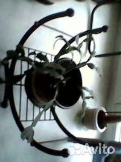 Ящики для растений