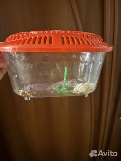 Террариум для черепахи