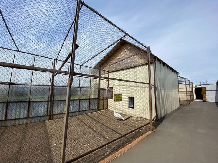 Участок 100 сот. (СНТ, ДНП)