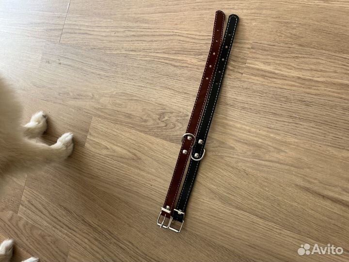 Ошейник для собак