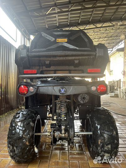 Hammer sharmax 300 LUX