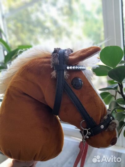 Набор в группу по хоббихорсингу